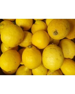 Citron jaune de Corse