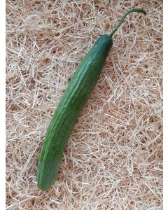 Concombre long lisse (env 400g)