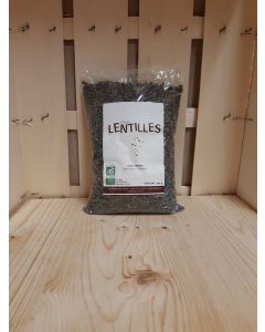 Lentilles vertes 500g (7,80€/kg)