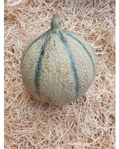Melon charentais (env 1kg)