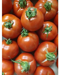 Tomate à coulis 35kg