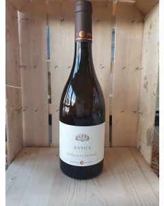 Vin AOC Coteau du Lyonnais Blanc ANTICA- Vieille Vigne Gamay 